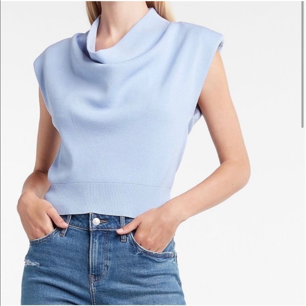 Express short sleeve sweater